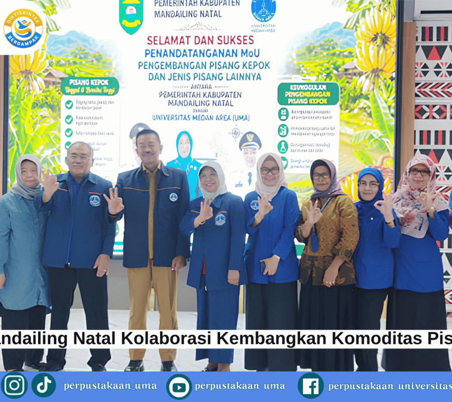 UMA dan Pemkab Madina Kolaborasi Kembangkan Komoditas Pisang Kepok Unggulan (3) UMA dan Pemkab Madina Kolaborasi Kembangkan Komoditas Pisang Kepok Unggulan (3)